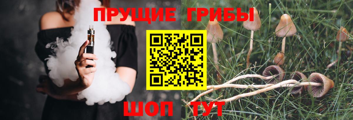 Галлюциногенные грибы GOLDEN TEACHER  Вход с VPN  Галлюциногенные грибы прущие грибы  Мурино 